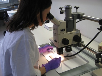 Clara M Prieto_in ARCP at microscope